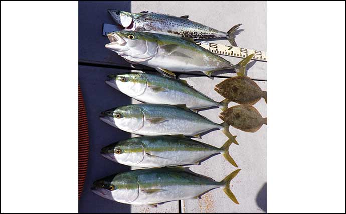 【沖釣り釣果速報】伊良湖沖でズッシリ良型肉厚コウイカが好調（愛知・三重）