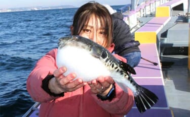 東京湾トラフグ釣りで2kg頭に船中本命10尾キャッチ【神奈川・つり幸】