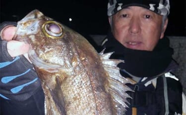 堤防での電気ウキ釣りで26cm筆頭に良型メバルが連発【熊本】場所移動が的中