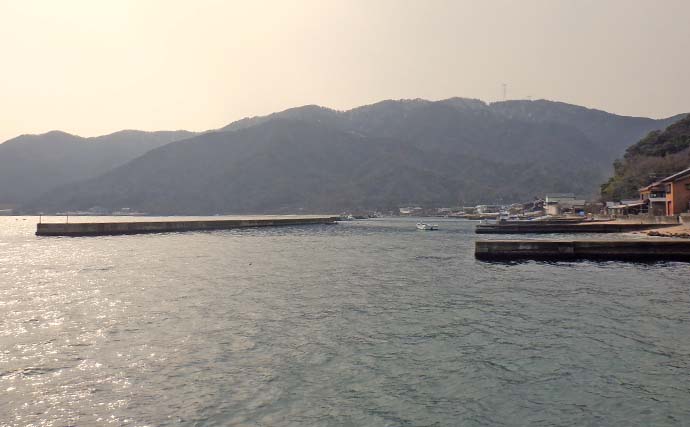 敦賀港でのショアジギング釣行で50cm超えサゴシ3本をキャッチ【福井】