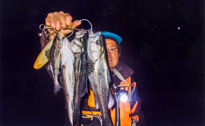 夜の堤防エサ釣りで45cm頭にセイゴ8匹【三重・霞ケ浦ふ頭】アオイソメにヒット