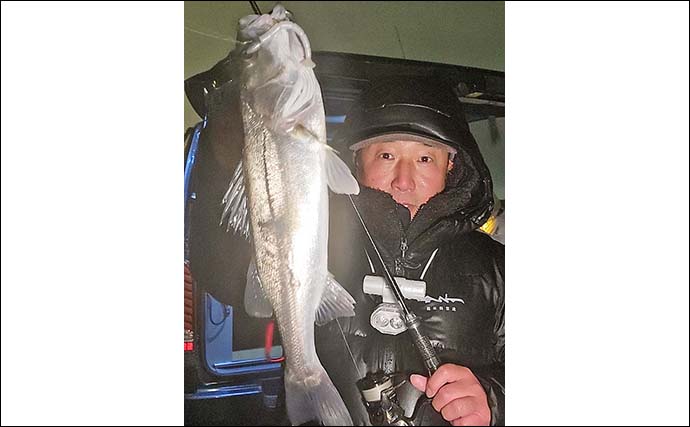 名古屋港ルアーシーバス釣りで2人で8匹と快釣【愛知】ソフトルアーでキャッチ