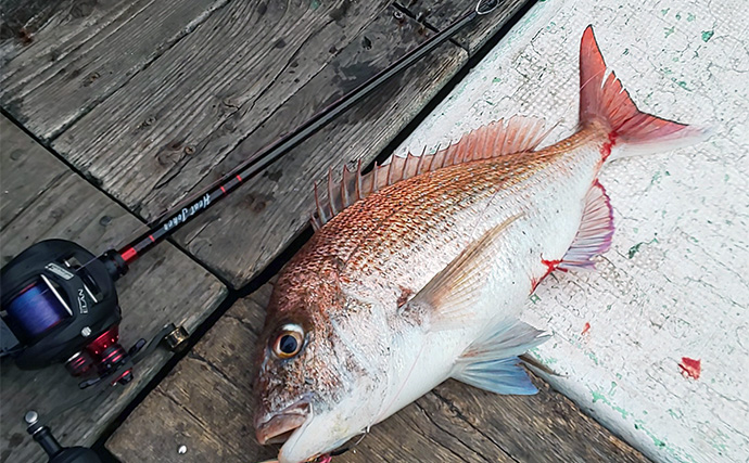 タイラバ＆ジギングで乗っ込みマダイを狙う【三重・南伊勢】根魚混じりで本命手中