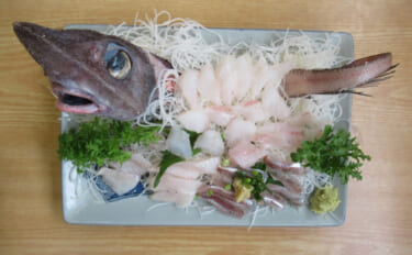 未利用魚からスターになった魚「トウジン」　人気の秘訣は肝臓にあり？