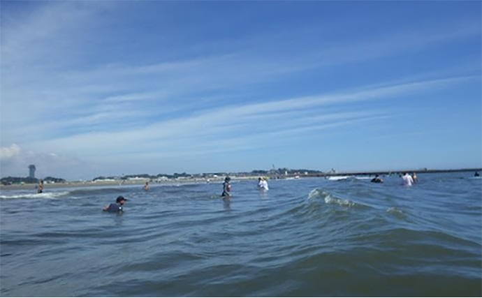 2025関東おすすめ潮干狩りスポット16選【千葉・神奈川・東京・茨城】