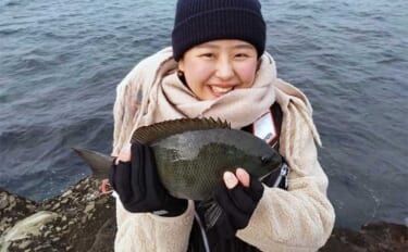 三浦半島「諸磯」でのフカセ釣りで36cm頭にメジナ10尾キャッチ【神奈川】