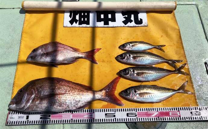 関西エリアの【船釣り特選釣果】和歌山沖キャスティングゲームでハマチが爆釣