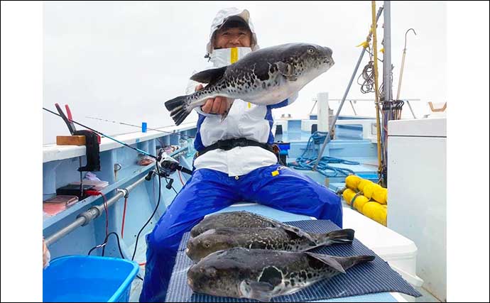 「今だけ！」期間限定の東京湾トラフグ釣りで4.3kg頭に4尾キャッチ【千葉】