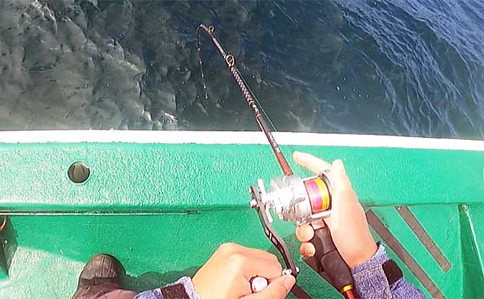 新潟沖ディープタイラバ釣行で良型主体に船中45枚【なかくに丸】強アピールが的中