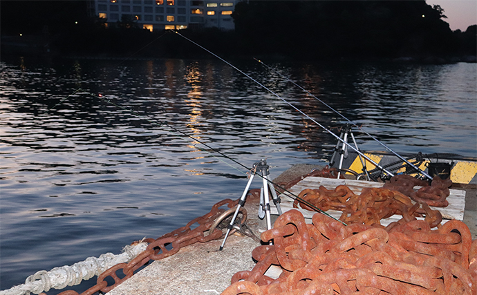 アナゴの「ブッコミ釣り」入門解説　釣れる時合いは日没から2時間程度