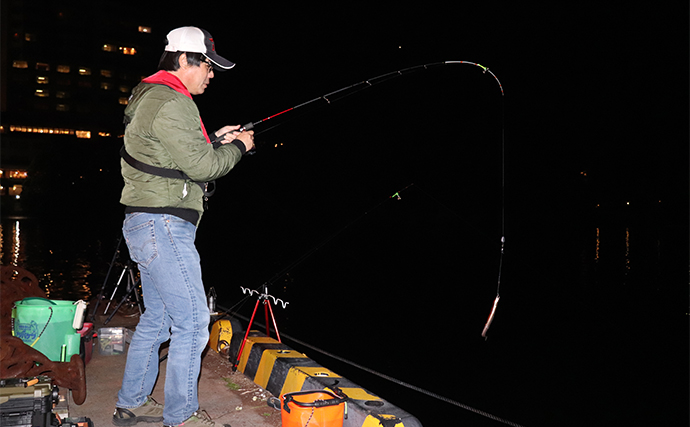 アナゴの「ブッコミ釣り」入門解説　釣れる時合いは日没から2時間程度
