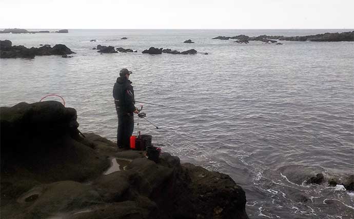 城ヶ島での磯フカセ釣りで36cmメジナ顔出し【神奈川】好ゲストに1.5kg級クロダイ