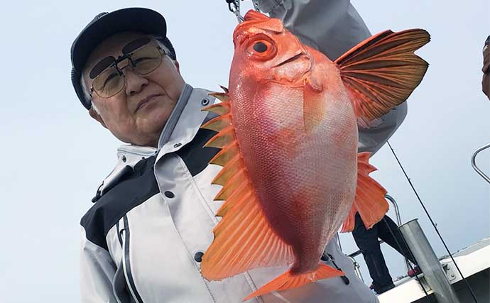 北九州ひとつテンヤ釣行で3kg級ノッコミマダイを複数安打【四季丸】