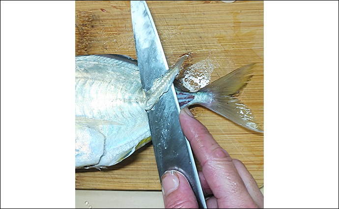 釣魚で作る「保存食」レシピ：メッキの焼き絞め　煮付けを焼いて食べると美味