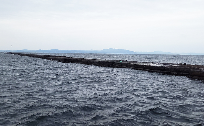 久里浜の東電防波堤でのフカセ釣り大会で良型クロダイが続々顔出し【神奈川】