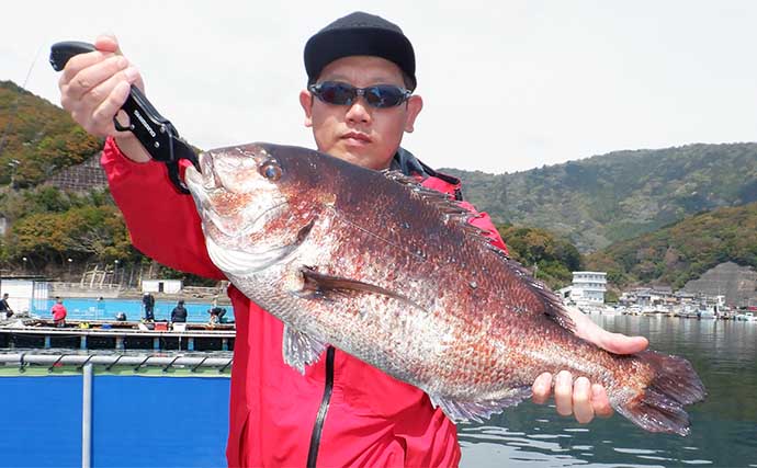 海上釣り堀でカンパチにワラサと青物を連打【三重・和光】放流タイムが好機