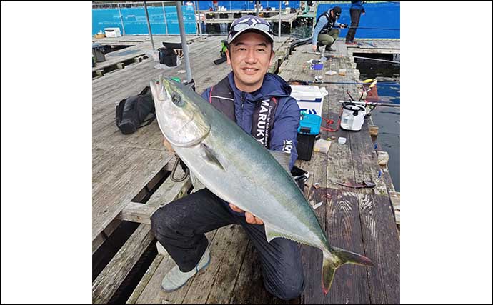 海上釣り堀でカンパチにワラサと青物を連打【三重・和光】放流タイムが好機