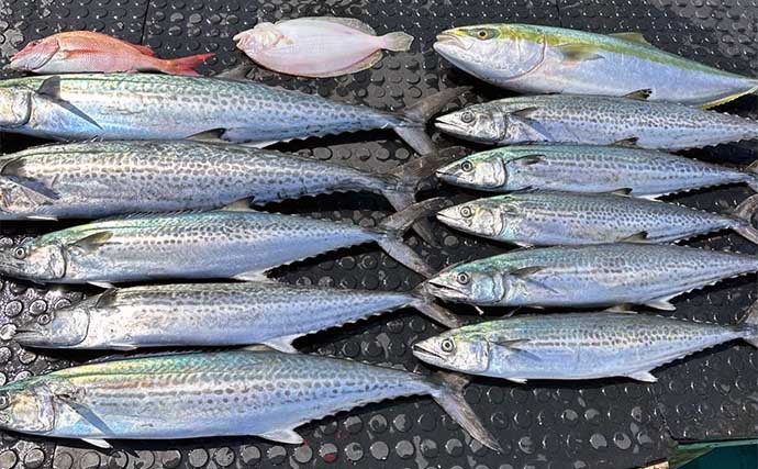 【船釣り最新釣果】アカムツ便で船中本命を全員安打と絶好調！（三重）