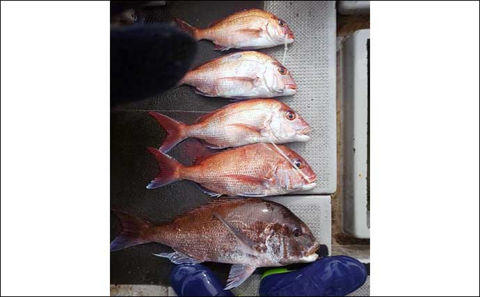 【沖釣り釣果速報】壱岐周辺や五島灘で大型マダイが続々顔出し（長崎・佐賀）