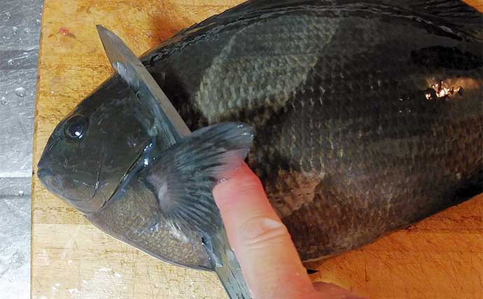 釣った魚で作る「保存＆時短」レシピ：クロのお伊勢焼き　茹ででから焼く