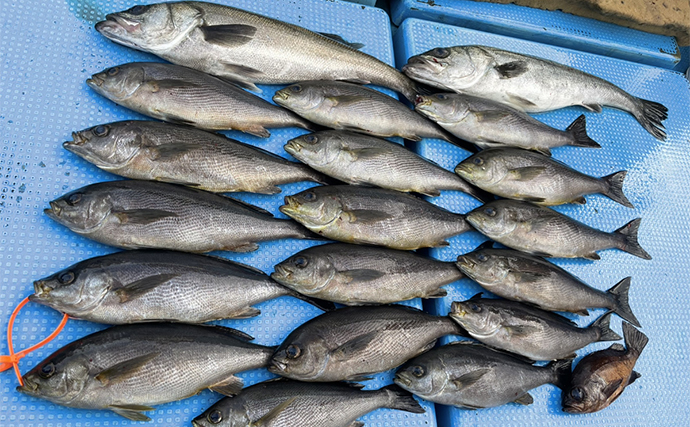 船釣り愛好家の思い出に残るGW釣行は【激辛ヤキソバをかけた負けられない戦い】