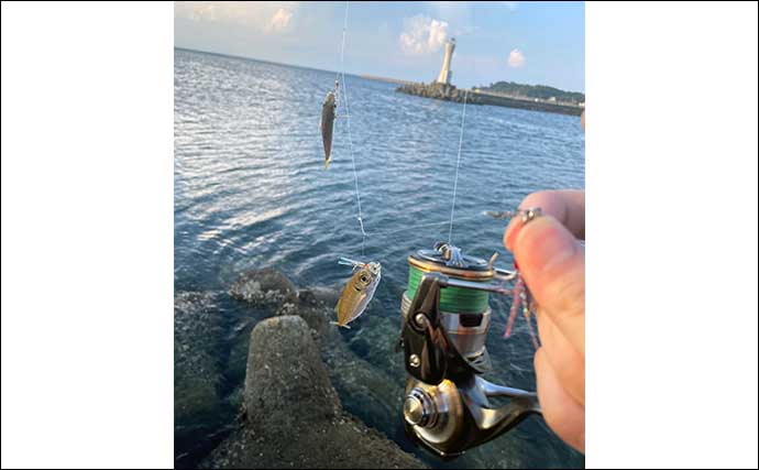 大阪湾メバリング愛好家がGWに行きたい釣りは【淡路島で3種のメバル釣り】