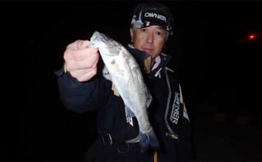 登立港での夜の電気ウキ釣りでセイゴ連発【熊本・天草】ゆっくり巻く誘いが…