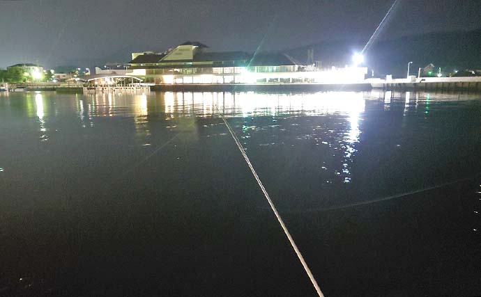 淡路島での夜の投げ釣りで良型含みマアナゴ9匹【洲本港】好ゲストにセイゴ