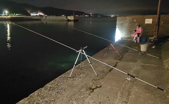 淡路島での夜の投げ釣りで良型含みマアナゴ9匹【洲本港】好ゲストにセイゴ