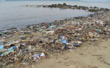 私たちの身近にある海洋汚染問題　代表的な汚染原因を理解して海洋ゴミ削減へ