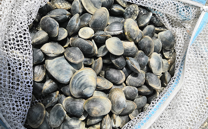 これを読めば完璧！【アサリの潮干狩り】完全攻略ガイド　基本から裏ワザまで紹介