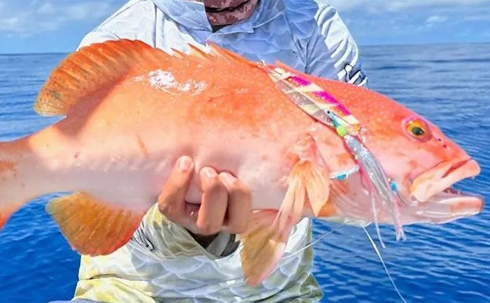 ラクラク10打縮まる「攻めるチッパー」新発売 ダイナミクス ツアー