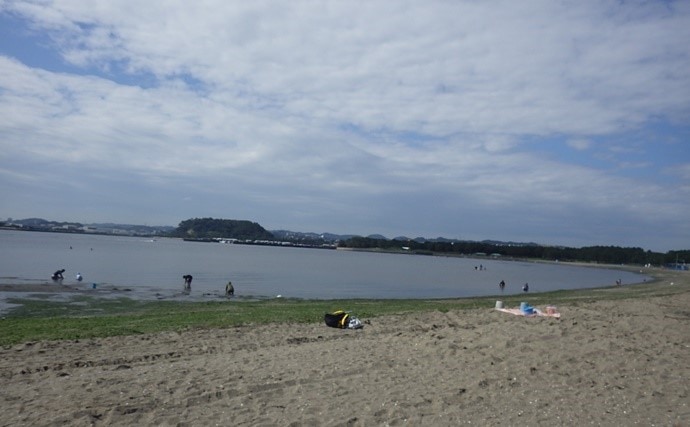 2025関東おすすめ潮干狩りスポット16選【千葉・神奈川・東京・茨城】