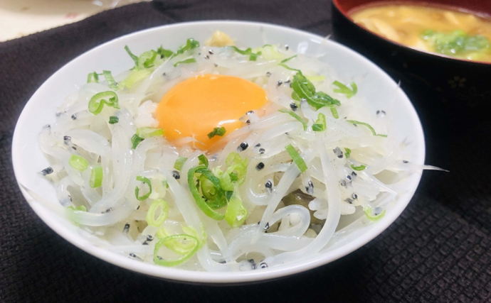 霞ヶ浦が全国に誇る「小さな高級魚」シラウオ　ほぼ淡水湖で繁殖が続く不思議とは