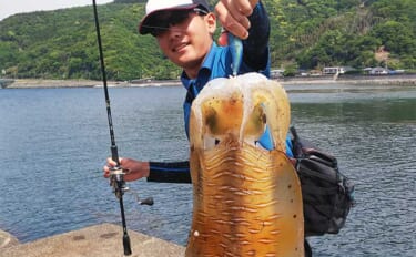 静岡のソルトアングラーが思い出に残っている過去GW釣行は【陸からジグで…