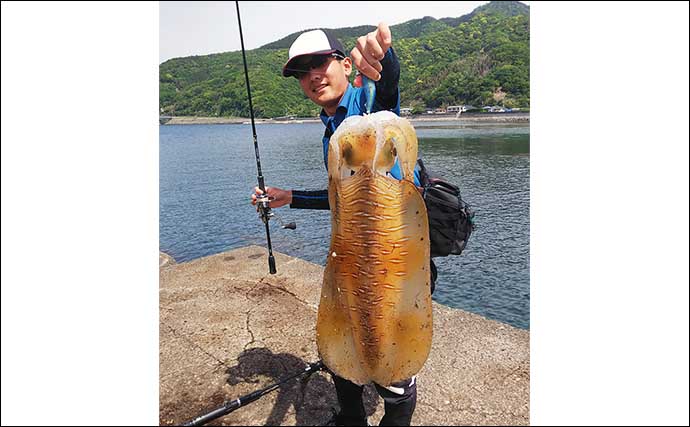 静岡のソルトアングラーが思い出に残っている過去GW釣行は【陸からジグでマダイGET】