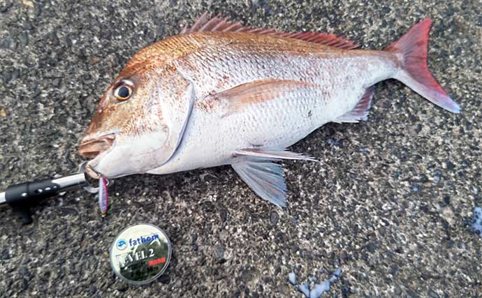 静岡のソルトアングラーが思い出に残っている過去GW釣行は【陸からジグでマダイGET】