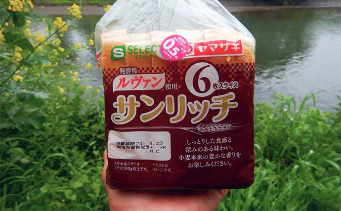 新河岸川パンぷか（パンコイ）釣りで62cmニシキゴイ【埼玉】高活性の要因は水位にあり