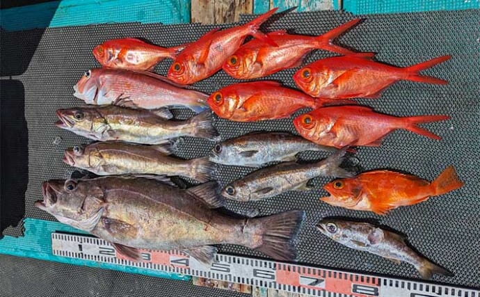 中深海ジギング釣行でキンメにクロムツにアラと高級美味魚揃い踏み【和歌山・良丸】