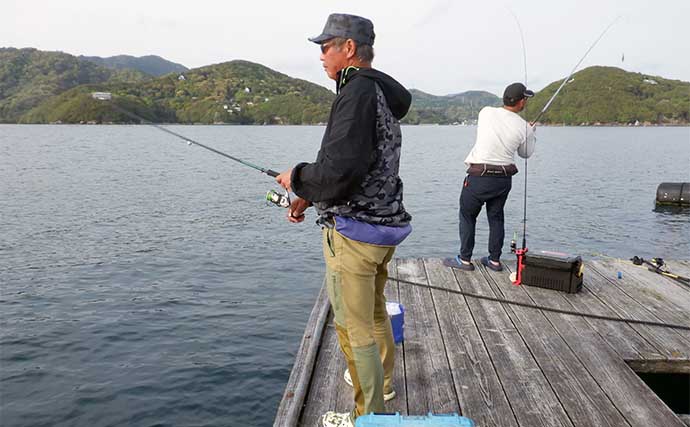 イカダでのヤエン釣り＆エギング二刀流で春のデカイカに挑戦【三重・宝成渡船】