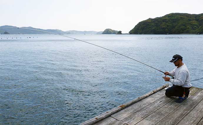 イカダでのヤエン釣り＆エギング二刀流で春のデカイカに挑戦【三重・宝成渡船】