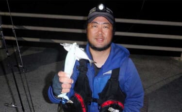 富山湾ライトルアー釣行でアジに苦戦もカサゴは入れ食いに　ゲストにヒラメ…