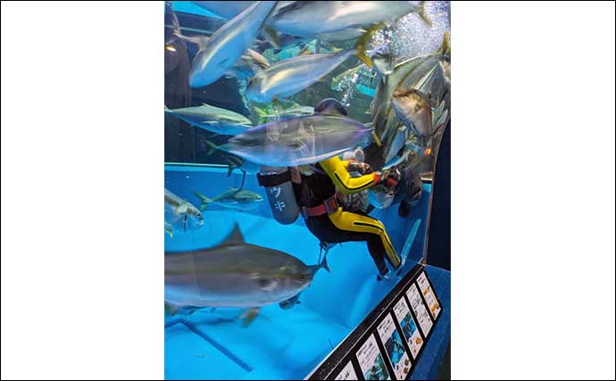 富山湾遠征時に立ち寄りたい施設：魚津水族館　目玉はリュウグウノツカイの標本