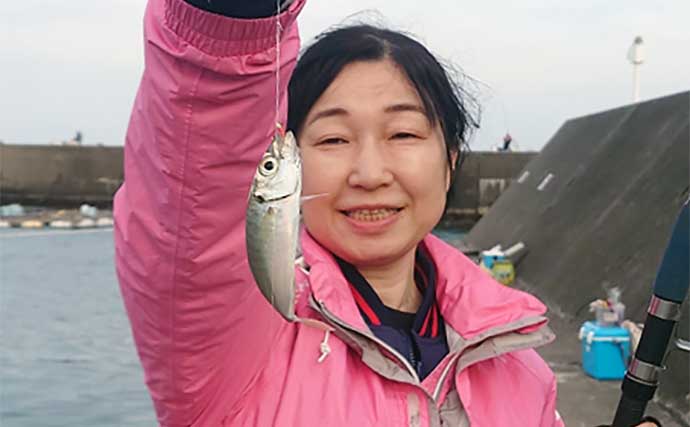 国崎漁港でのサビキ釣りでマアジ17匹手中【三重】平均サイズは20cm