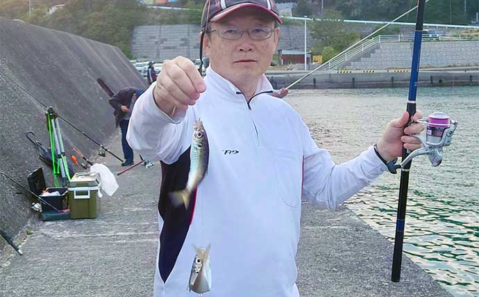 国崎漁港でのサビキ釣りでマアジ17匹手中【三重】平均サイズは20cm