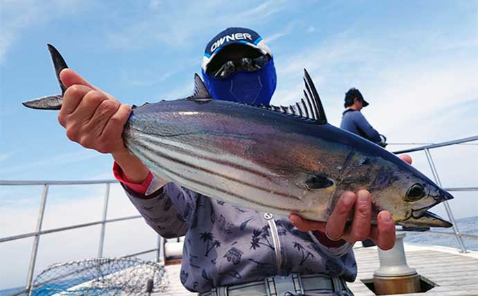 志摩沖トンボジギング釣行で裏本命のカツオ好捕【三重】マグロは船中2尾