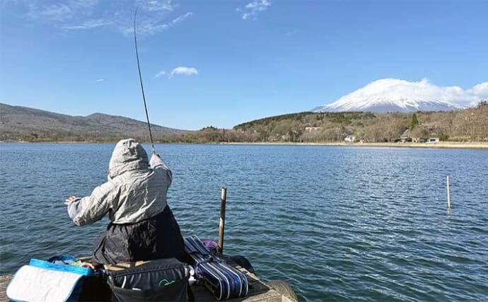 今週のヘラブナ推薦釣り場2024【山梨県・山中湖】