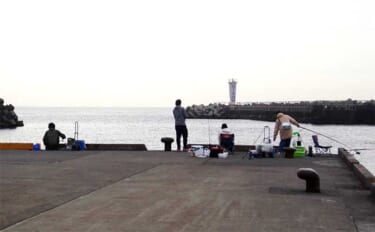 大磯港でのサビキ釣りで小アジ＆サバ40尾【神奈川】トリック仕掛けで挑戦