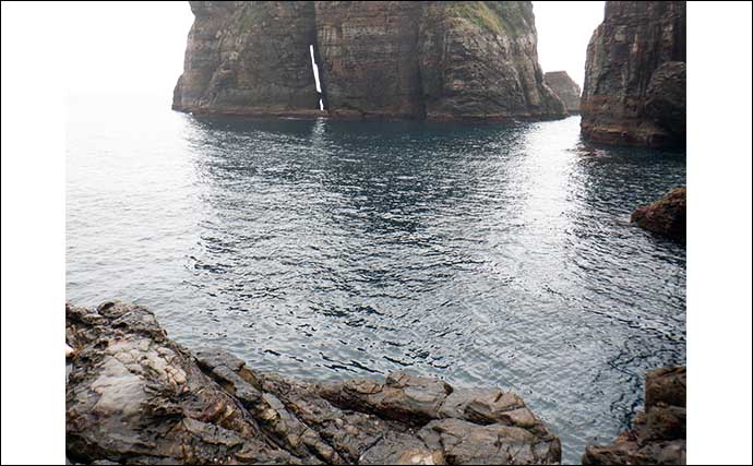 下甑島での磯フカセ釣りで40cm頭にクロ（メジナ）13尾【鹿児島】エサ取りに苦戦