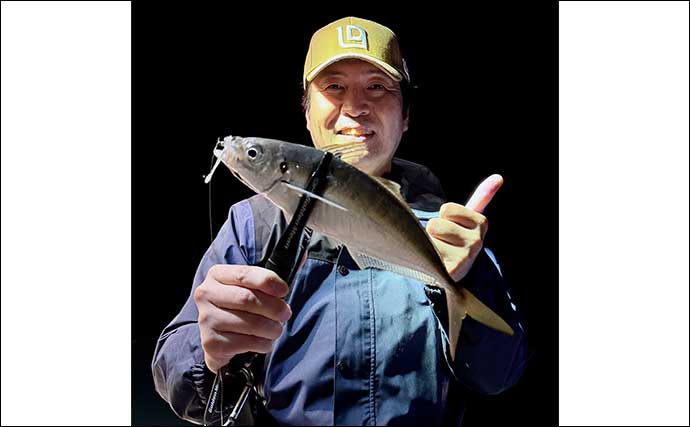 伊万里湾でバチコンアジング開幕【佐賀】シーズン初釣行でアジ連打も今後はサイズに期待